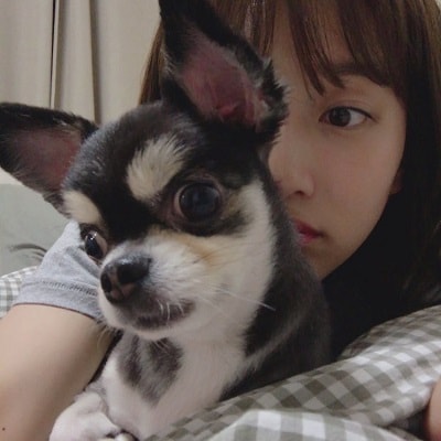 A picture of Pyo Ye-jin with her pet dog.